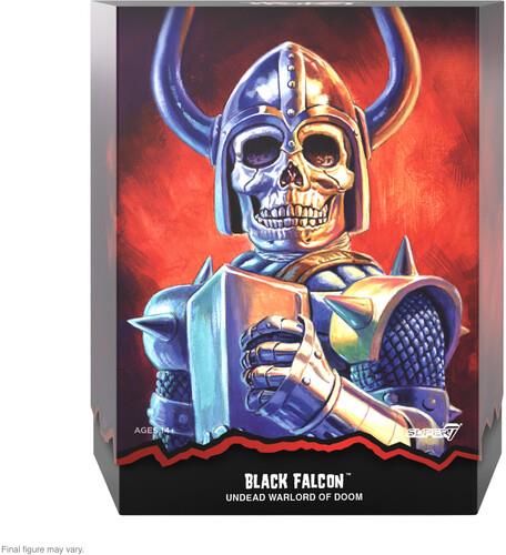 Worst: Super7 - Ultimates! Wave 2 - Black Falcon