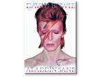 Aquarius Ent Bowie Aladdin Sane Flat Magnet Magneti