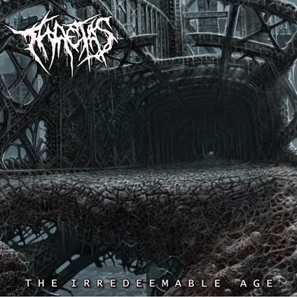 The Irredeemable Age - CD Audio di Thaetas