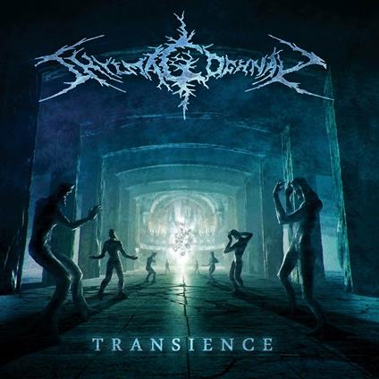 Transience - CD Audio di Shylmagoghnar