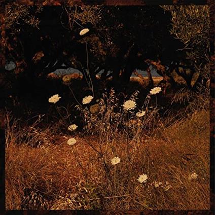 Earth Patterns - CD Audio di Szun Waves