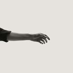 Limbs (White Vinyl)