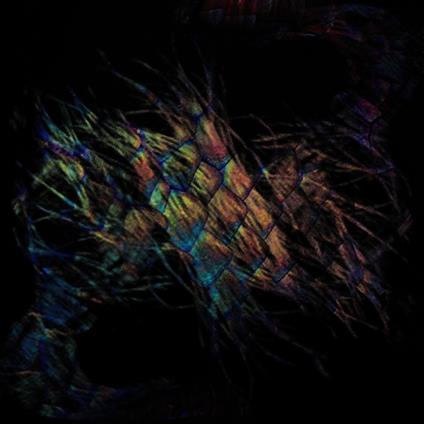 Sables - Vinile LP di Vaura