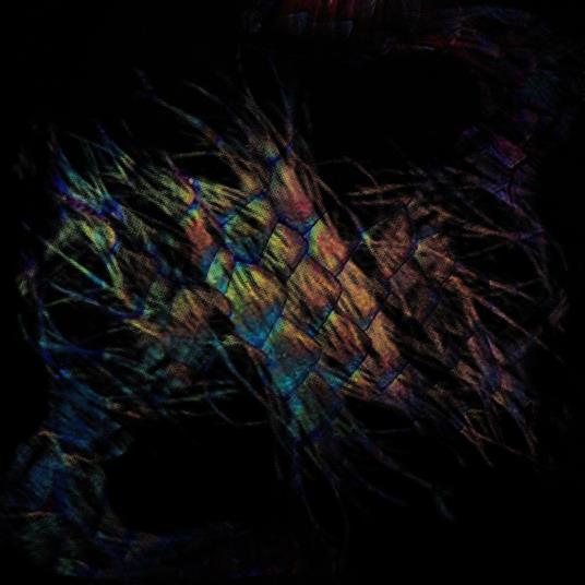 Sables - Vinile LP di Vaura