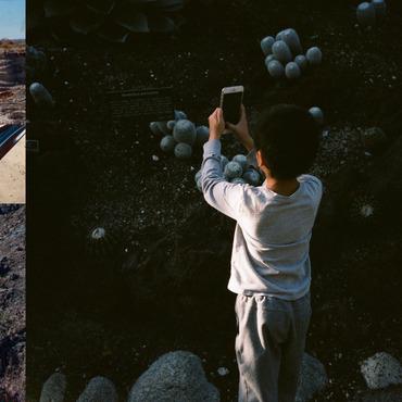 Life, and Another - CD Audio di Mega Bog