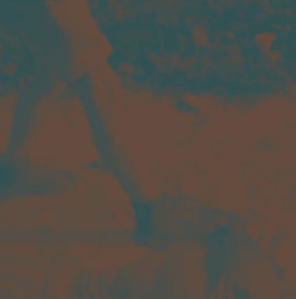 Ritual Howls (10 Year Deluxe Edition - Amber Stone Coloured Vinyl) - Vinile LP di Ritual Howls