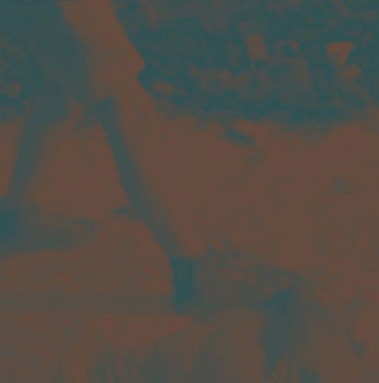 Ritual Howls (10 Year Deluxe Edition - Amber Stone Coloured Vinyl) - Vinile LP di Ritual Howls