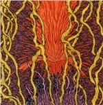 Harmonic Tremors - Vinile LP di Zozobra