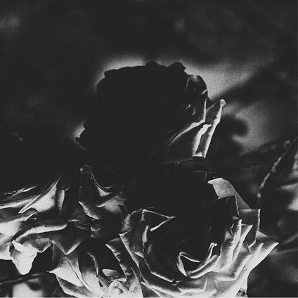 Split - Vinile LP di Hexis & Telos