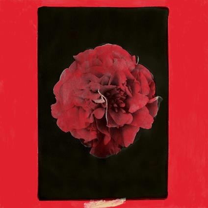 A Thousand Years In Another Way - Vinile LP di Activity