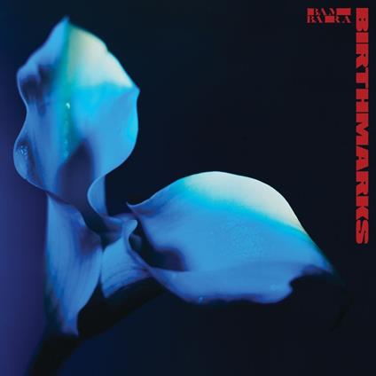 Birthmarks - Vinile LP di Bambara