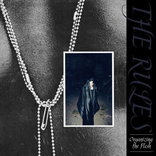 Organizing The Flash - Vinile LP di Rules