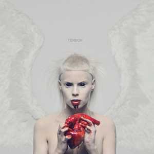 Vinile Ten$Ion Die Antwoord