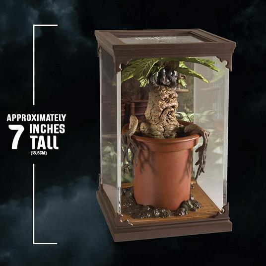 Harry Potter - Creature magiche: Mandragora - 4