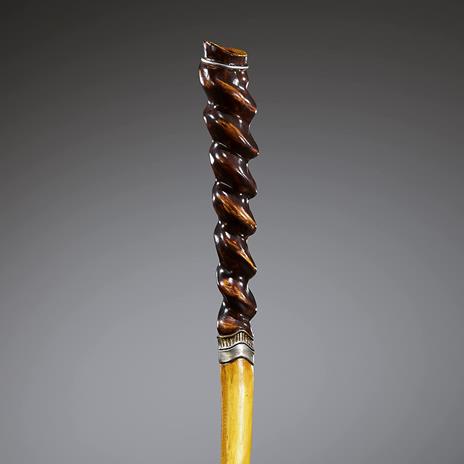 Animali Fantasticis: The Secrets Of Silente Wand Tao Noble Collection - 4