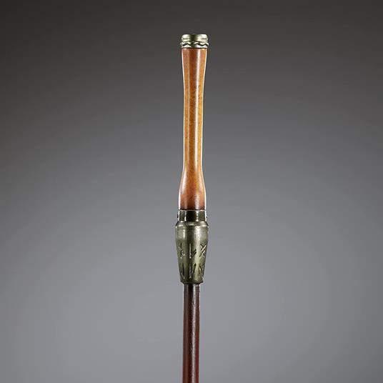 Animali Fantasticis: The Secrets Of Silente Wand Helmut Noble Collection - 4