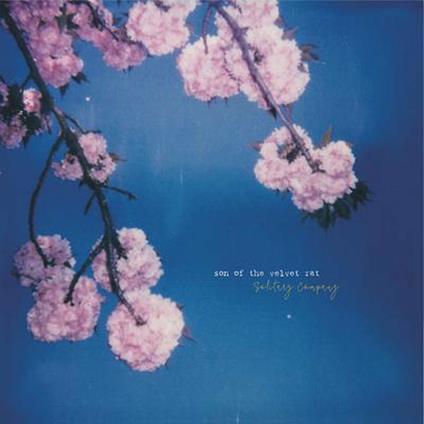 Solitary Company - Vinile LP di Son of the Velvet Rat