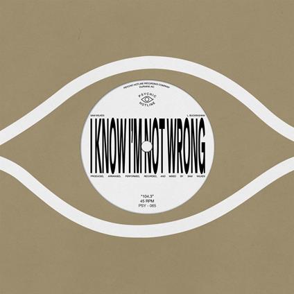 104.3 - Vinile 7'' di Sam Wilkes