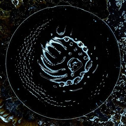 Stonus - CD Audio di Stonus