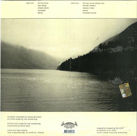 Sky Is An Empty Eye - Vinile LP di Tom Armstrong - 2