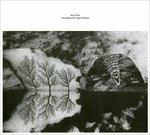 Here Begins the Great Destroyer - CD Audio di Nick Mott