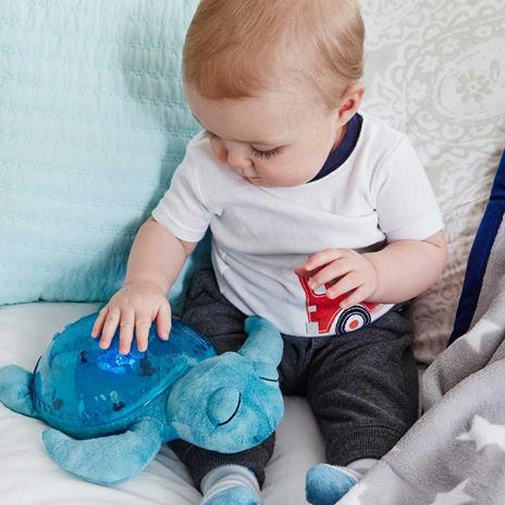 Tranquil Turtle Aqua - 6