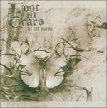 To No Avail - CD Audio di Lost in Tears