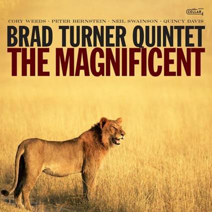 Magnificent - CD Audio di Brad Turner