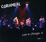 Live in Chicago