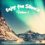 Enjoy the Silence 2