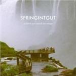 Where We Need No Map - CD Audio di Springintgut