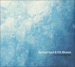 The Bird and White Noise - CD Audio di Springintgut,FS Blumm