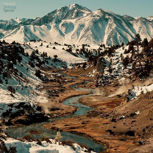 Nothing Special - Vinile LP di Will Sheff