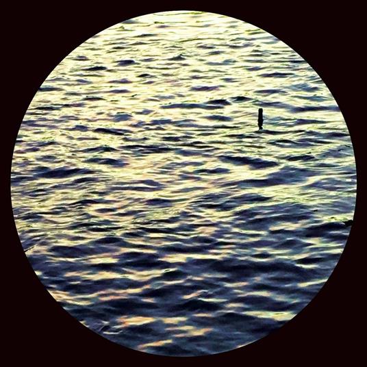 Right There - Vinile LP di Ant Orange