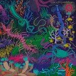 Adventures - Vinile LP di Slow Steve