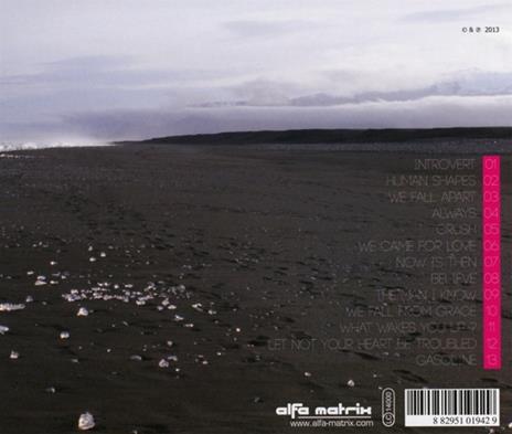 We Fall Apart - CD Audio di Technoir - 2