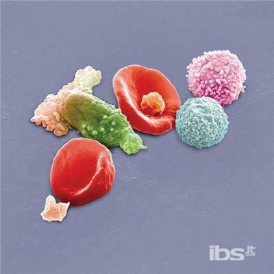 New Blood (Special Edition) - CD Audio di Peter Gabriel