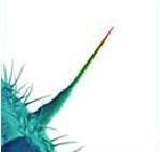 And I'll Scratch Yours - CD Audio