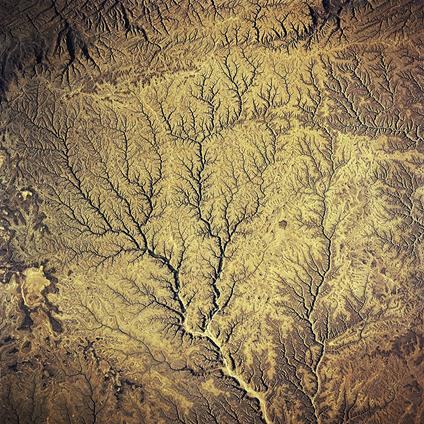 Passion Sources (180 gr. + Download Card) - Vinile LP