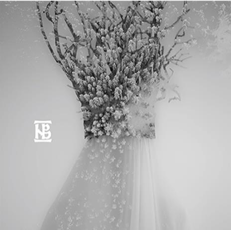 Zau - CD Audio di Negura Bunget