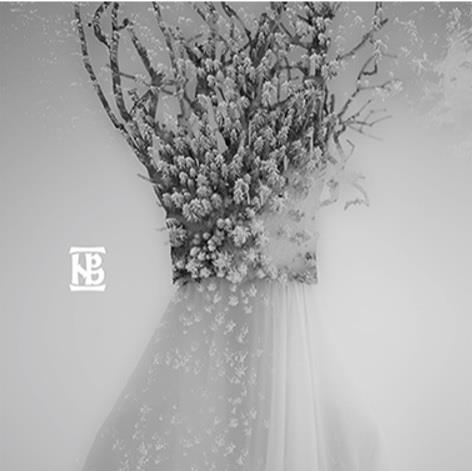 Zau - CD Audio di Negura Bunget