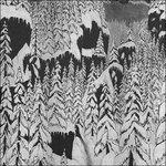 Schattengang (HQ Reissue) - Vinile LP di Paysage d'Hiver