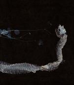 Maaaet - Vinile LP di Tenhi