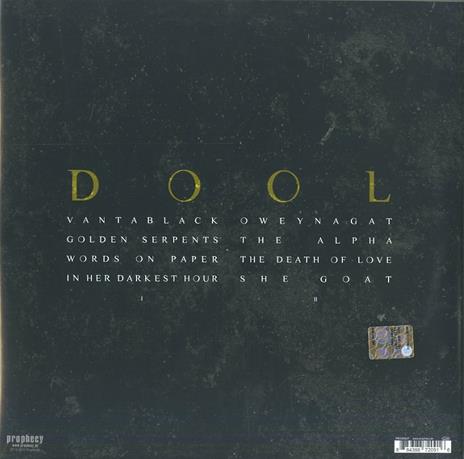 Here Now, There Then (Limited Edition) - Vinile LP di Dool - 2