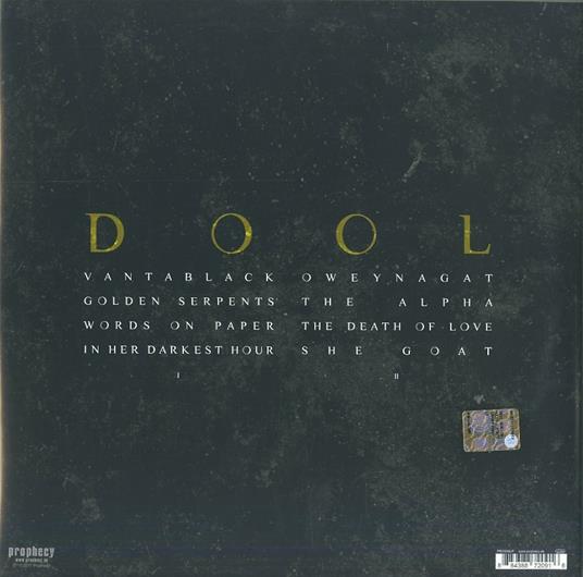 Here Now, There Then (Limited Edition) - Vinile LP di Dool - 2