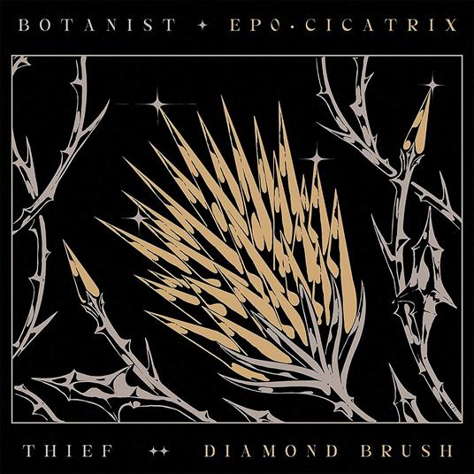 Cicatrix - Diamond Brush - CD Audio di Thief,Botanist
