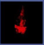 The Collapse of All That Has Been - CD Audio di Weird Fate