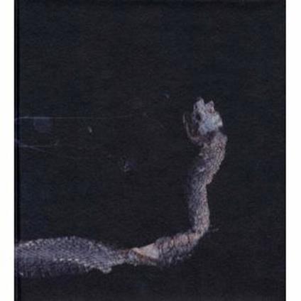 Maaaet - Vinile LP di Tenhi