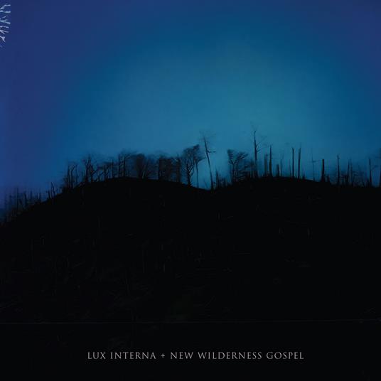 New Wildrness Gospel (Blue Marble Edition) - Vinile LP di Lux Interna
