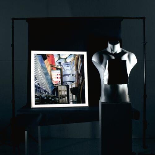 Andermans Mijne - CD Audio di Laster